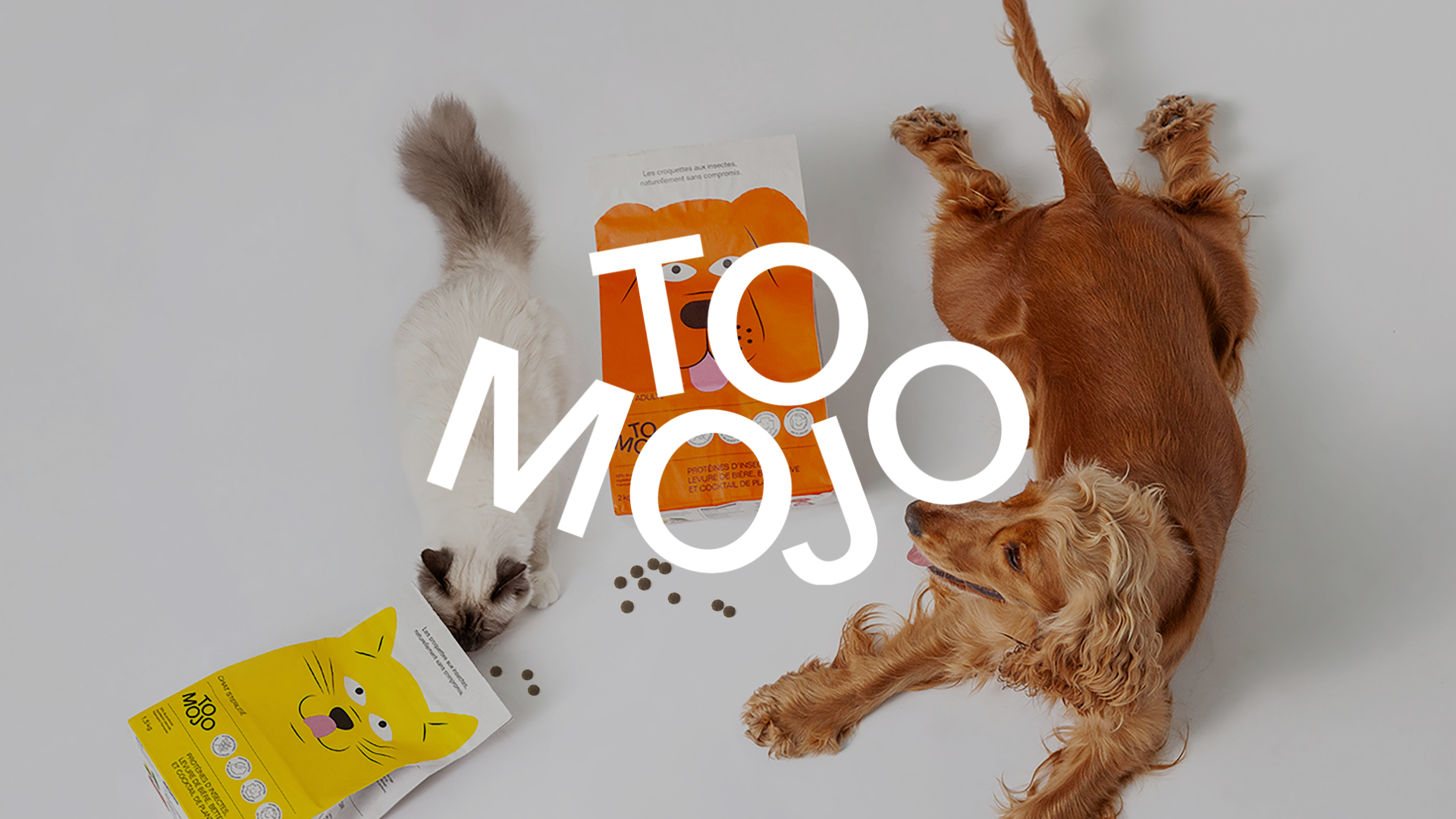 Adagio x Tomojo