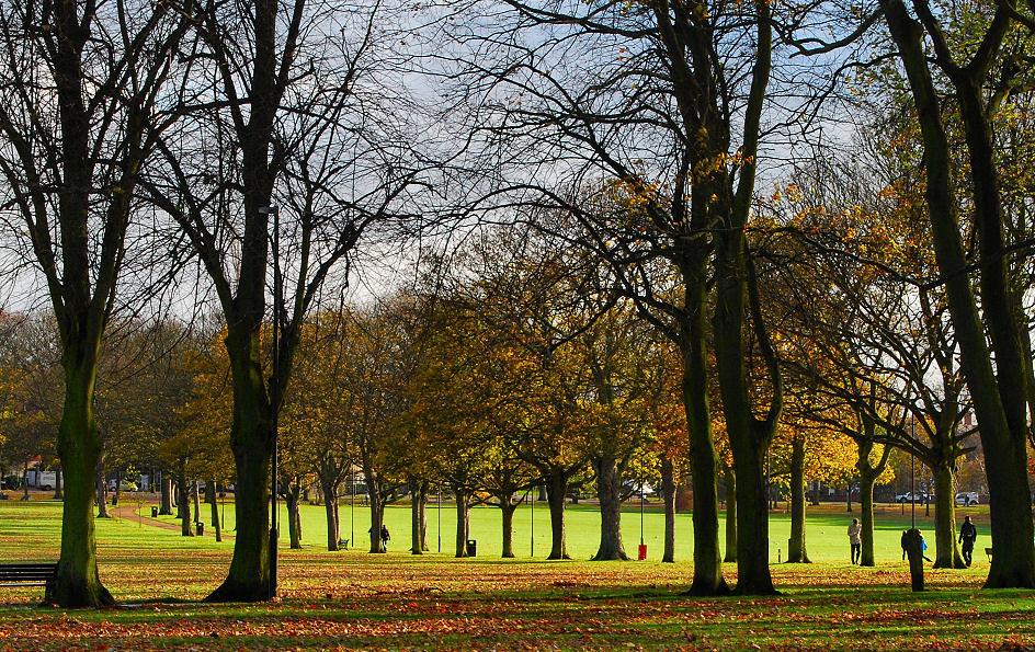 FLAT IN VICTORIA PARK LEICESTER