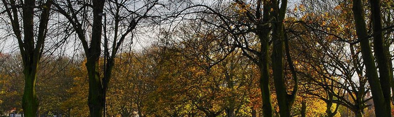 FLAT IN VICTORIA PARK LEICESTER FLAT IN VICTORIA PARK LEICESTER