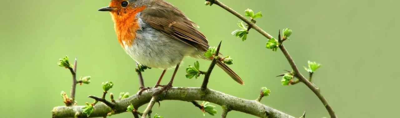 La casa de la naturaleza en Vannes