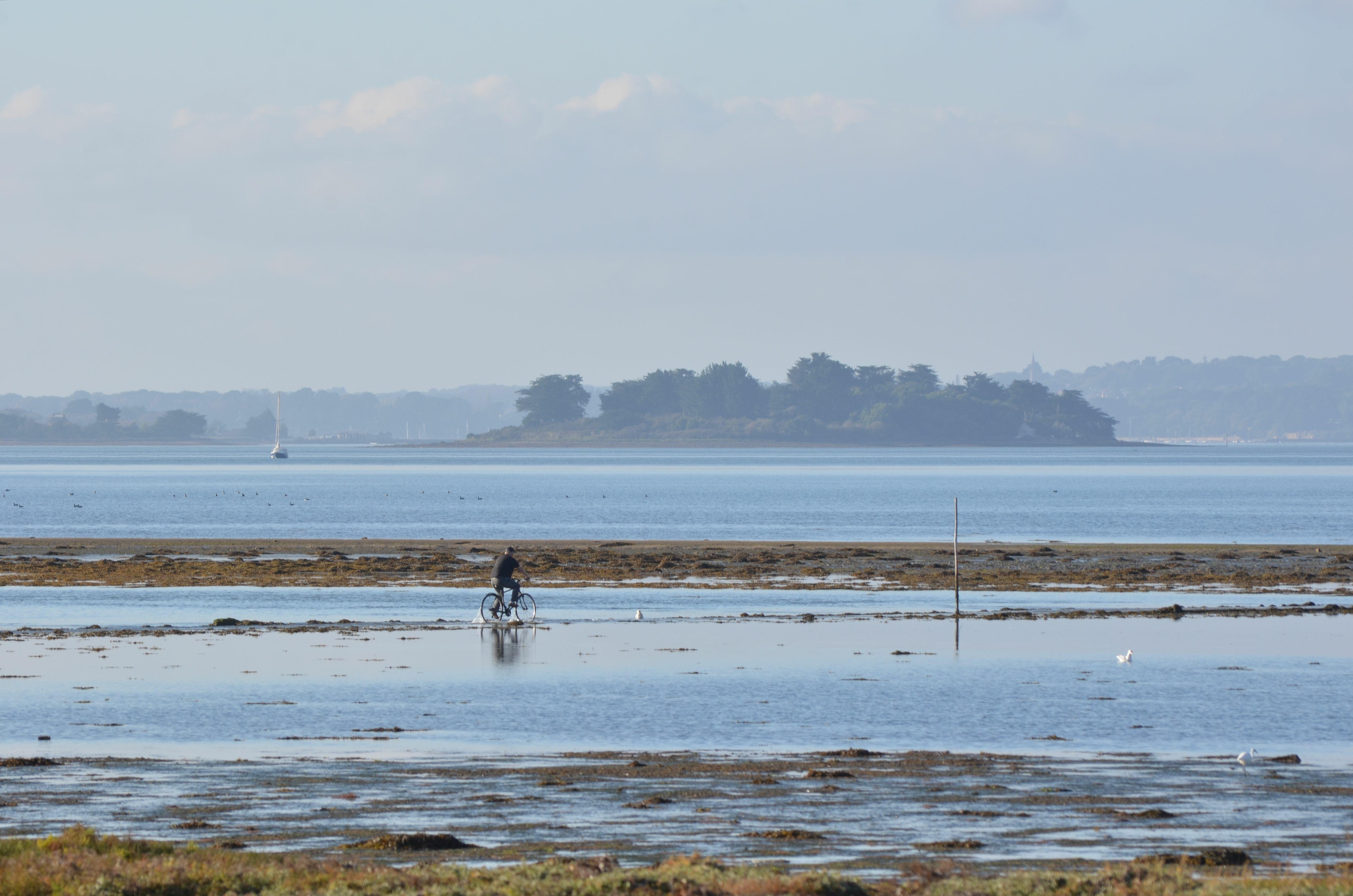 Ile Tascon à Vannes