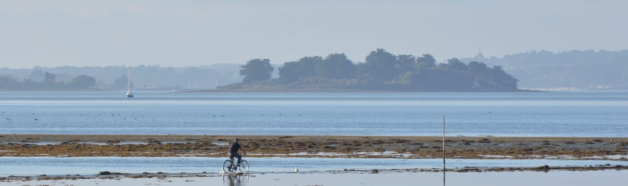 Tascon Island in Vannes Tascon Island in Vannes