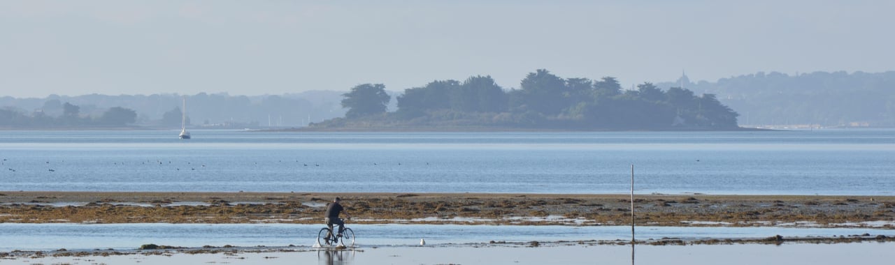 Tascon Island in Vannes