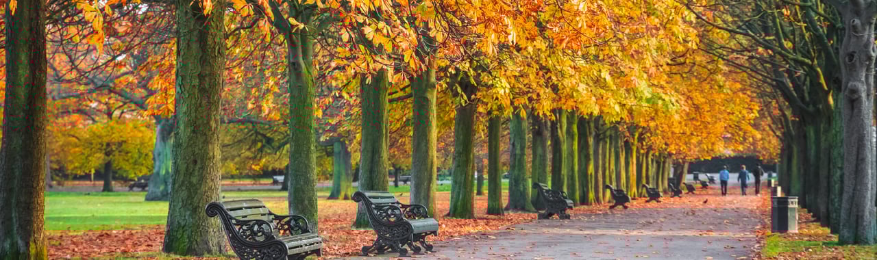 London Millfields Park London Millfields Park