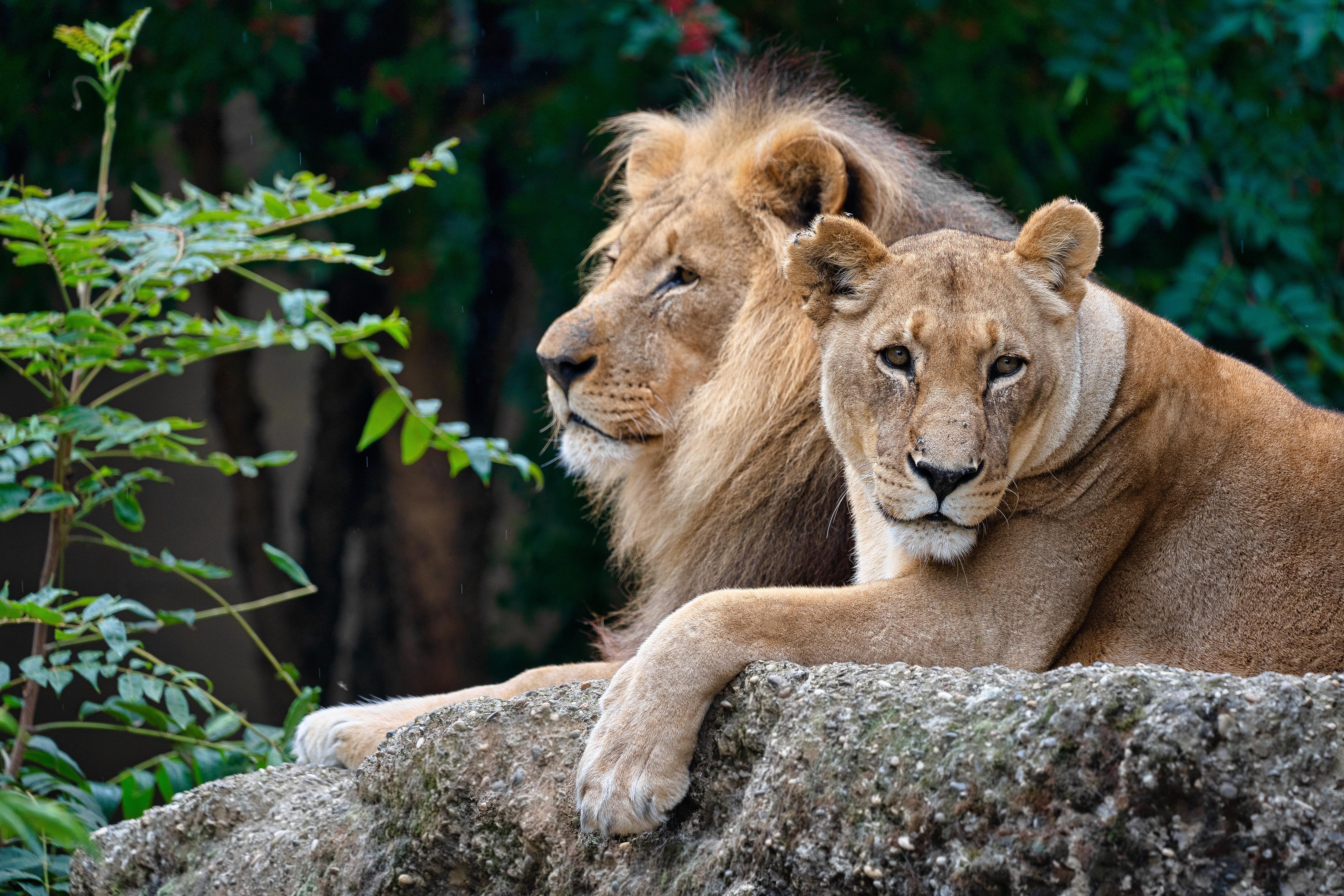 Zoo Basel 