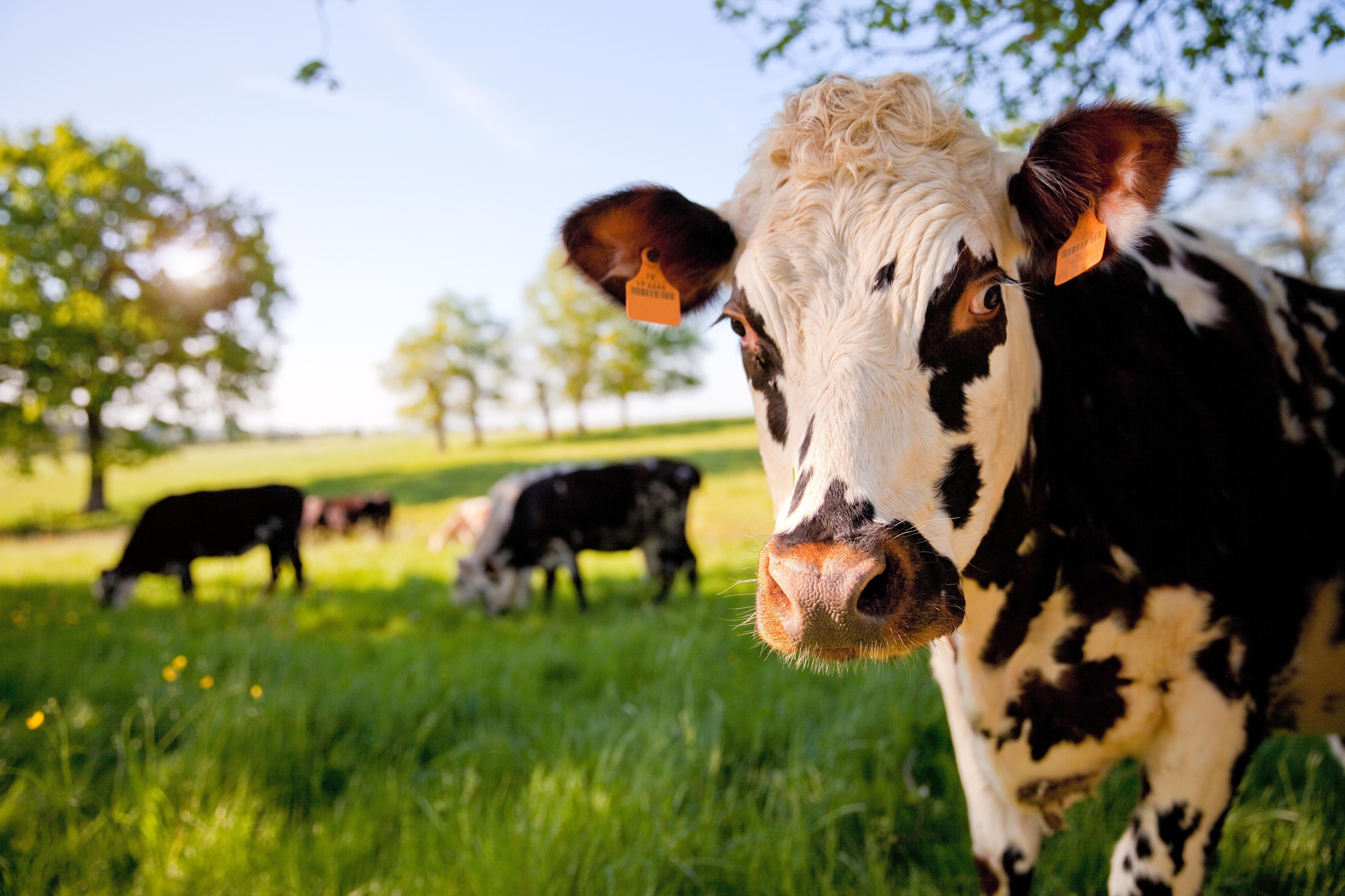 Un week-end en Normandie dans un appart'hôtel