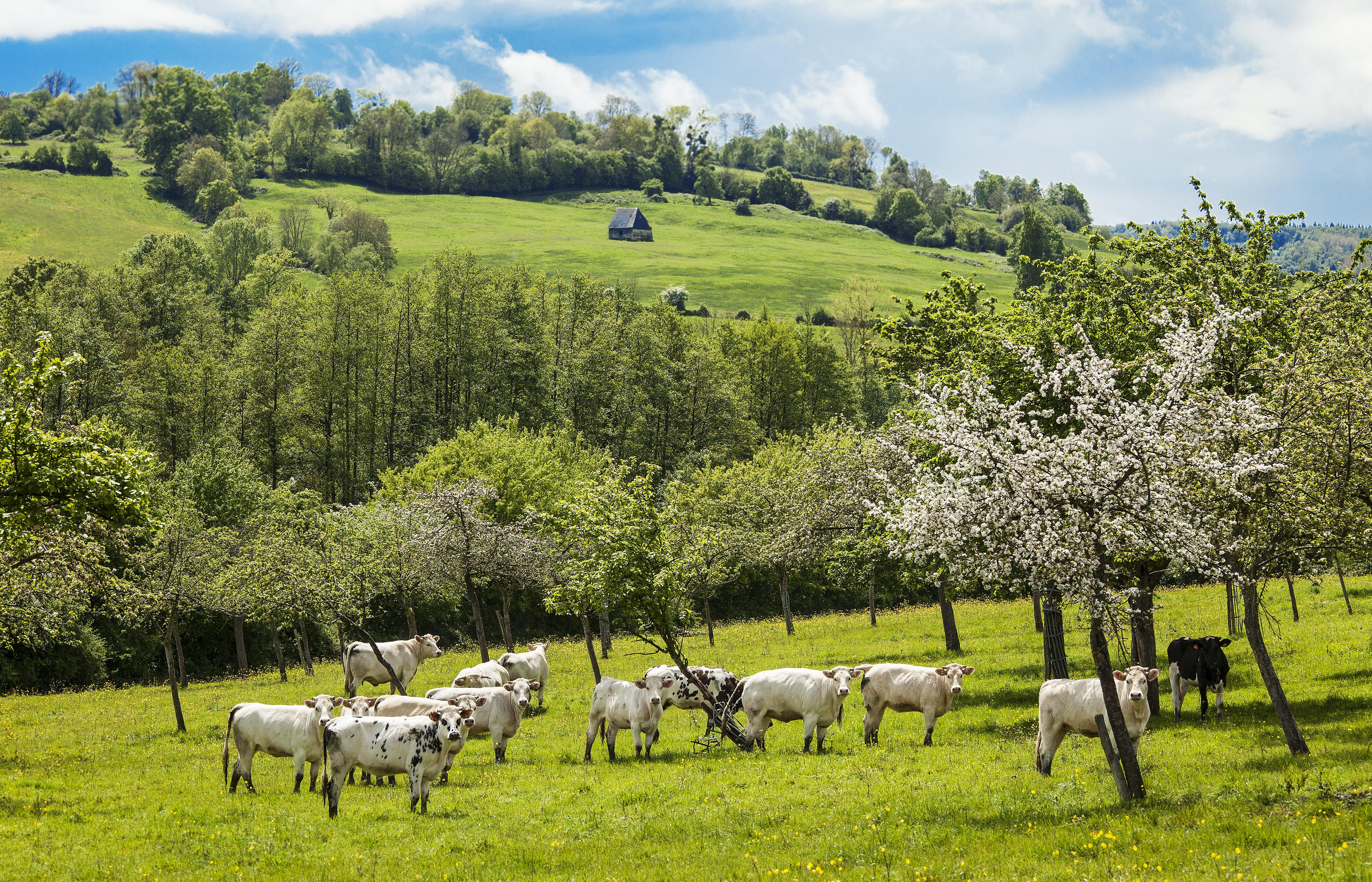 Trouver une location pour des vacances en Normandie
