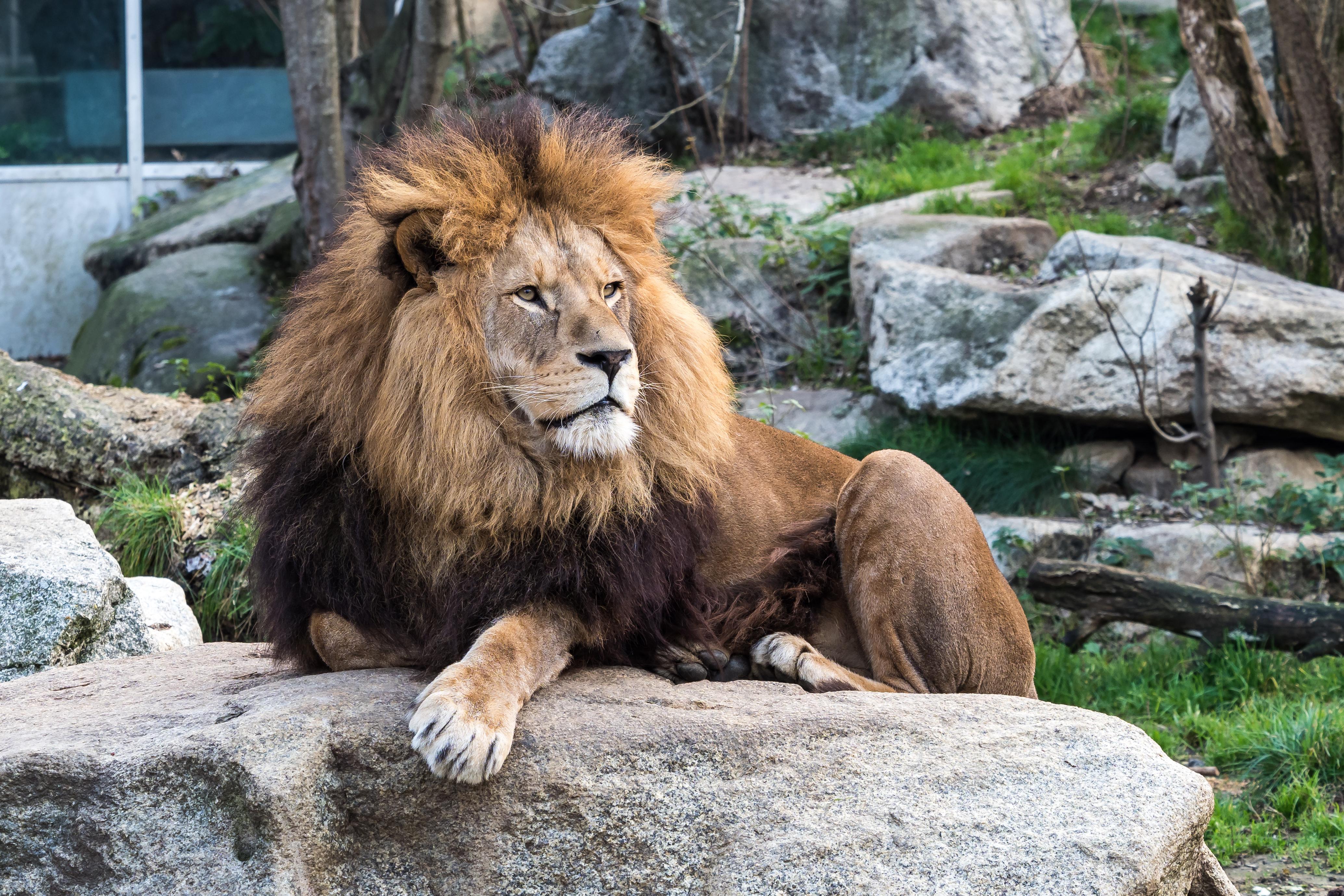 Zoo Basel