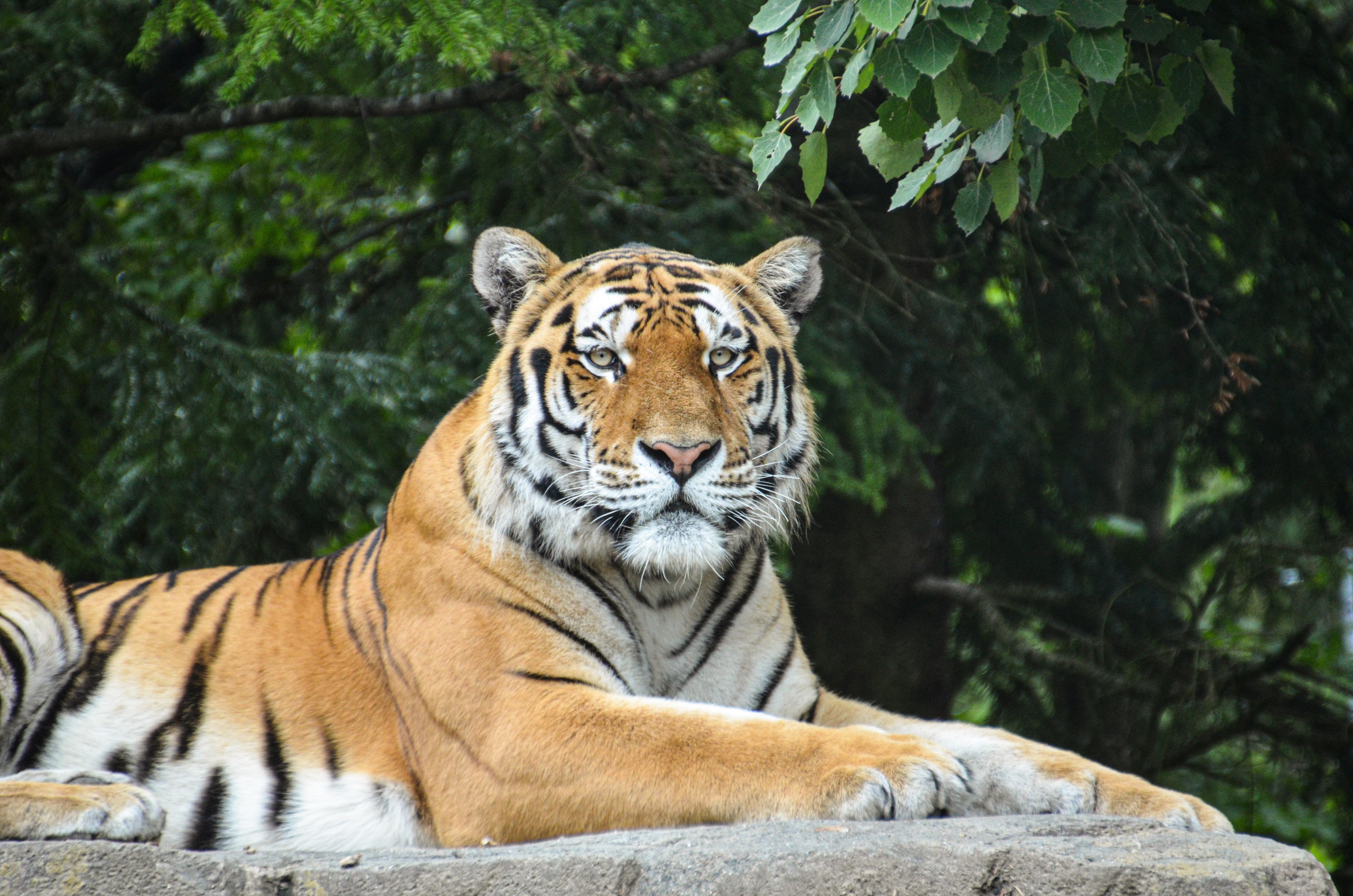 Zoo Zürich