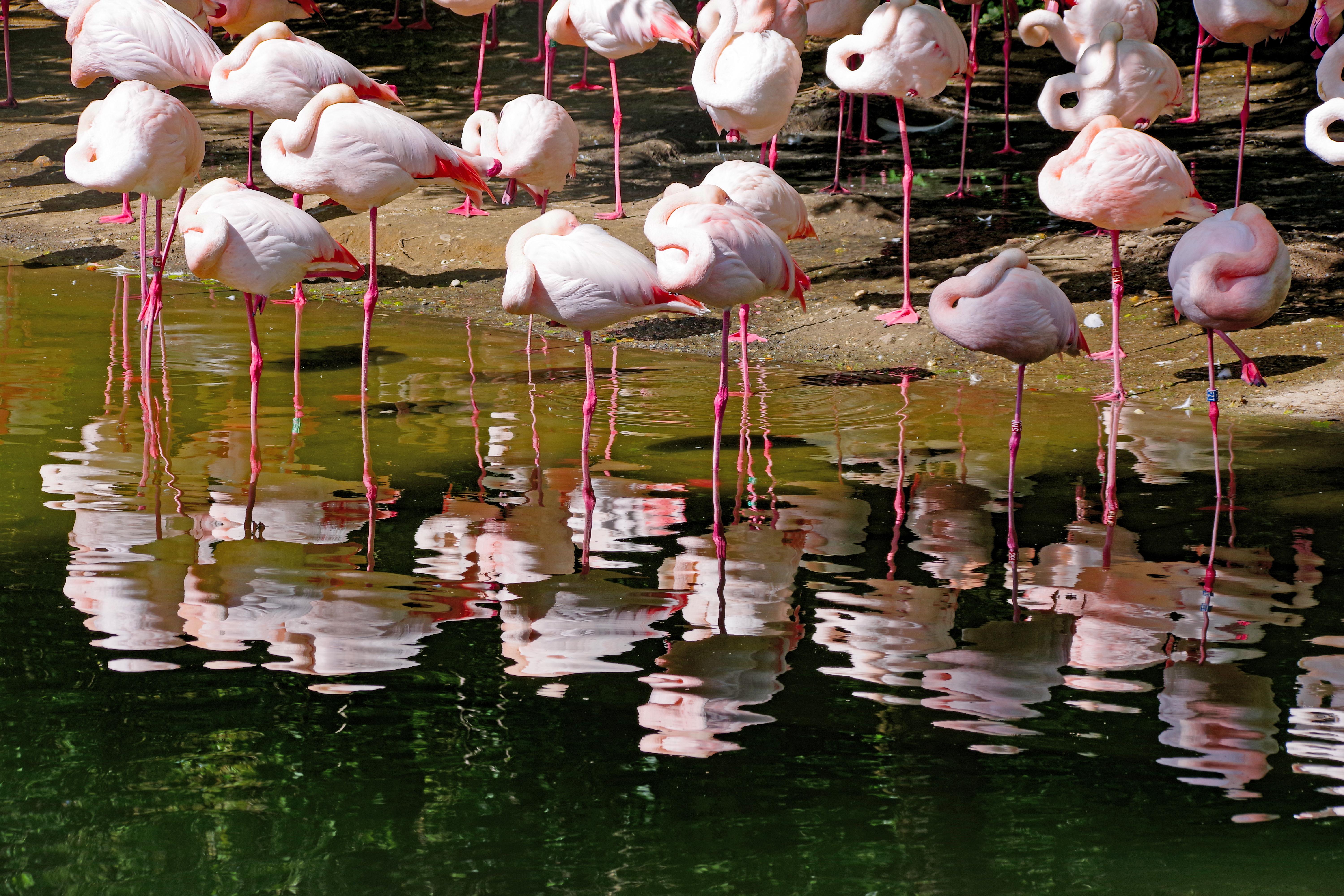 Parc de la tête d'or à Lyon