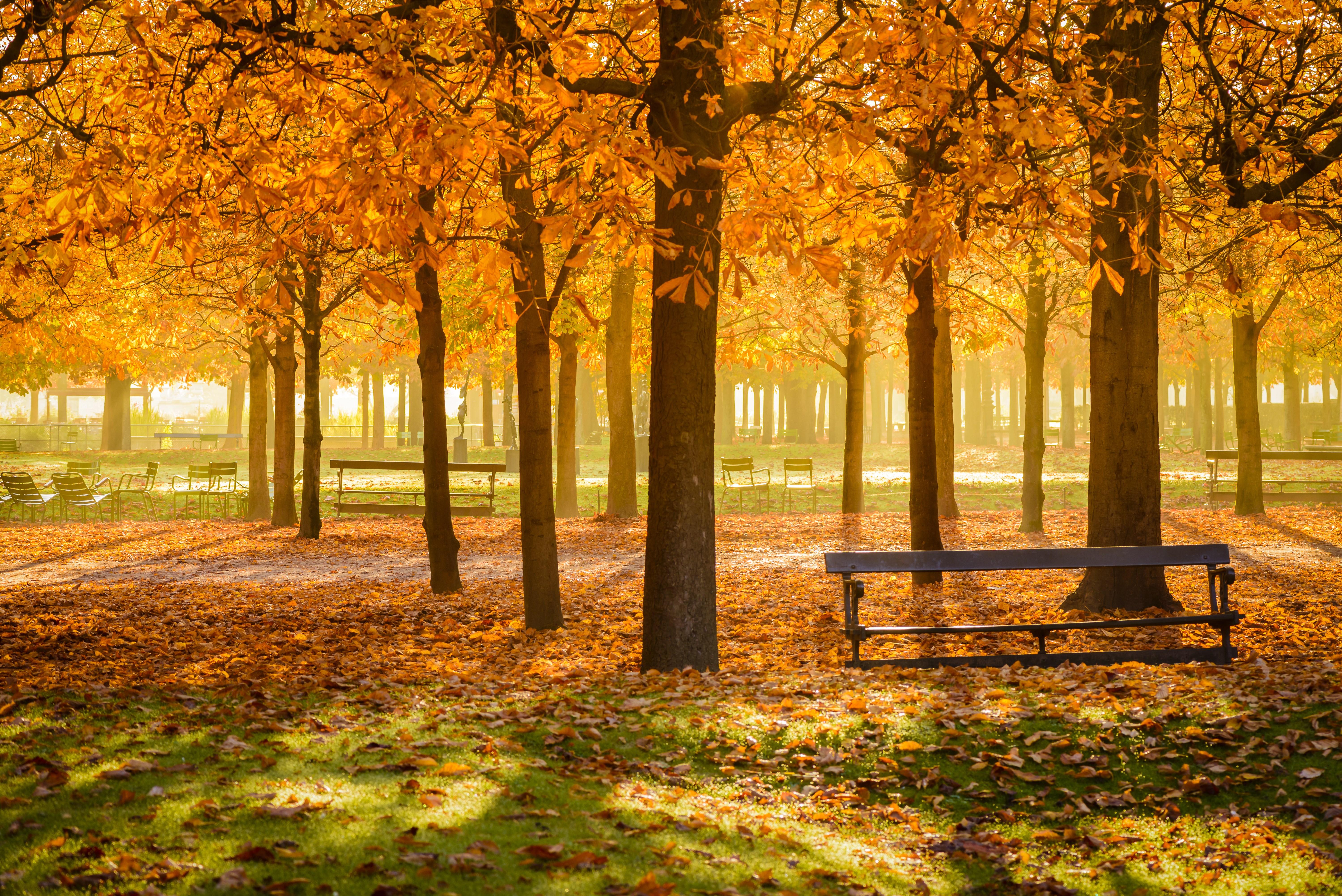 Où partir pour les vacances de Toussaint ?