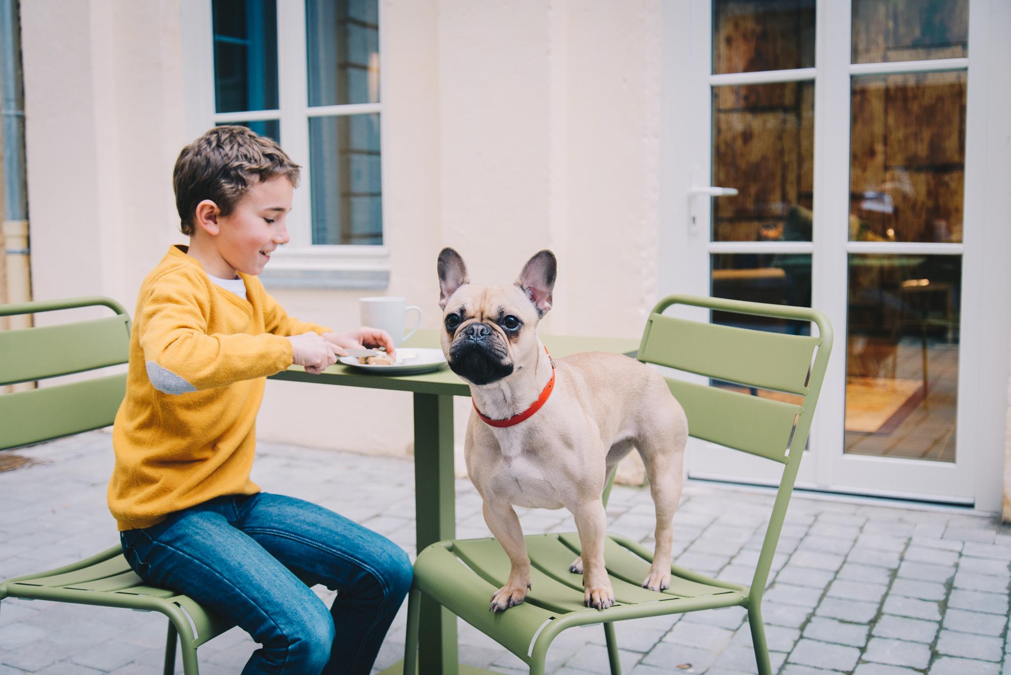 Se o seu animal de estimação é importante para você, ele é importante para nós.