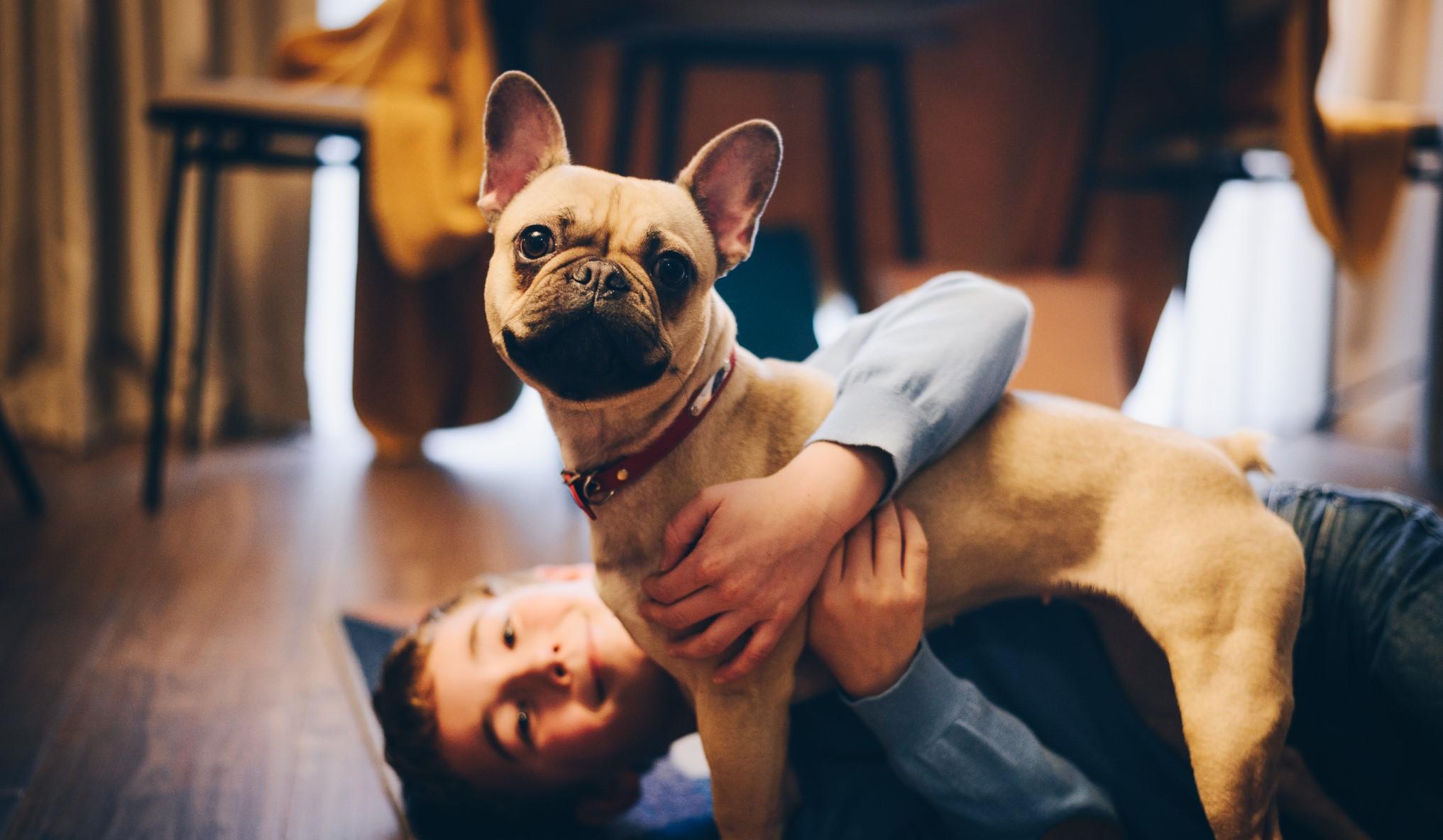 At Adagio, pets can feel right at home too!