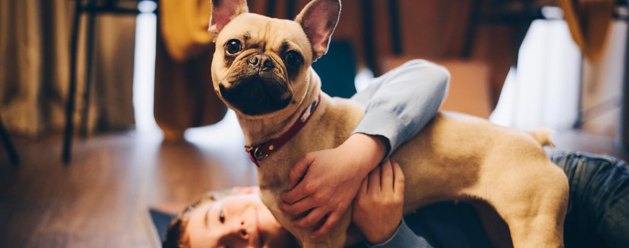 At Adagio, pets can feel right at home too! At Adagio, pets can feel right at home too!