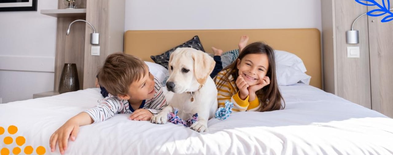 Promo été -15% Promo été