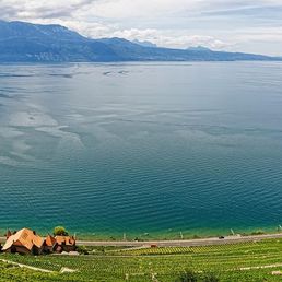 Lac Léman en panoramique