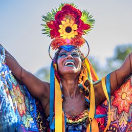 Partir assister au Carnaval de Rio de Janeiro