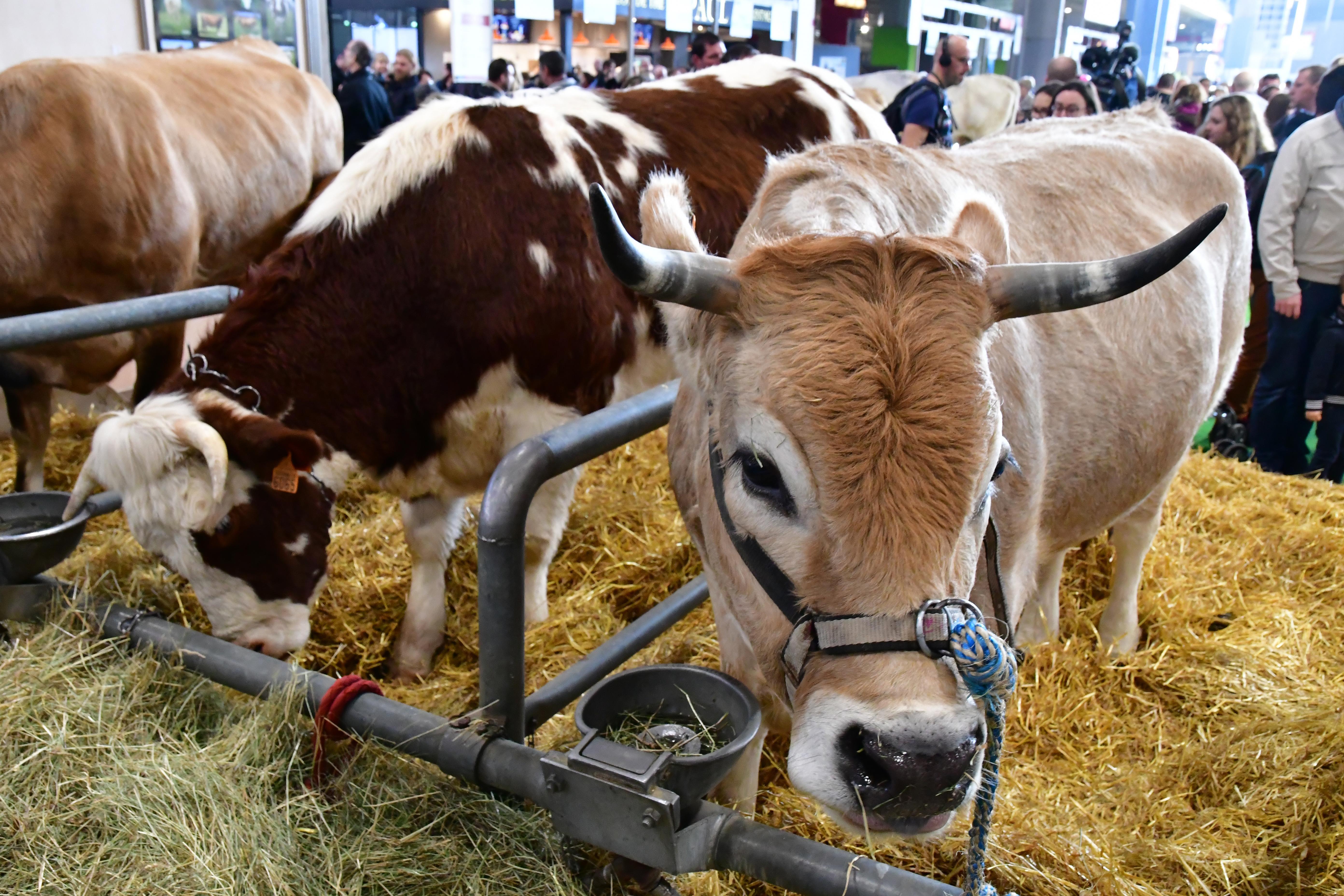 Trouver un hôtel pour le Salon de l'Agriculture