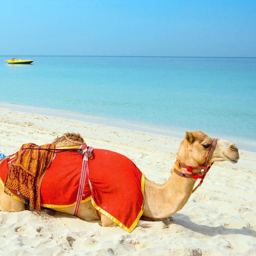 Aparthotel in Vereinigte Arabische Emirate