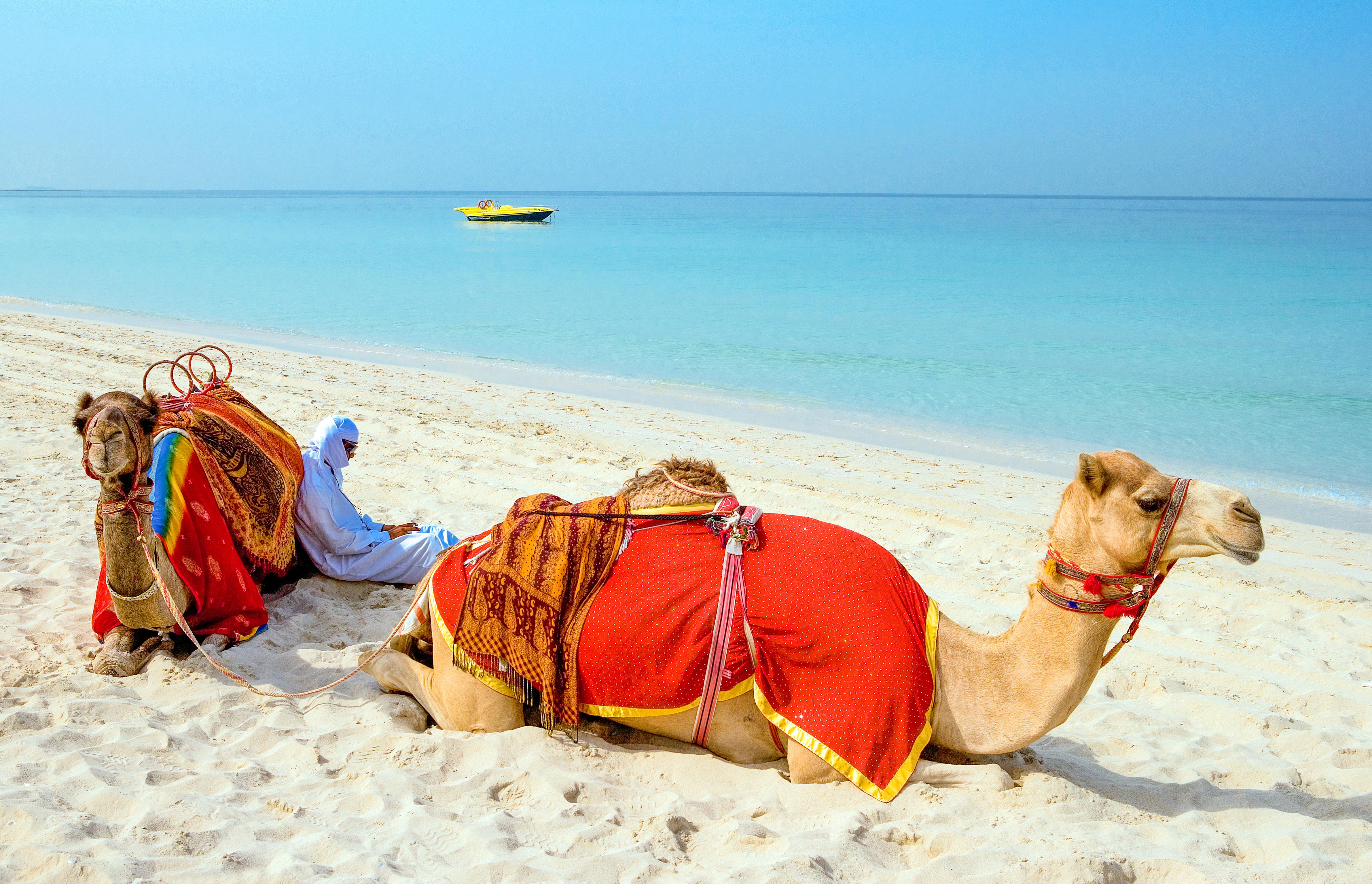 Aparthotel in Vereinigte Arabische Emirate
